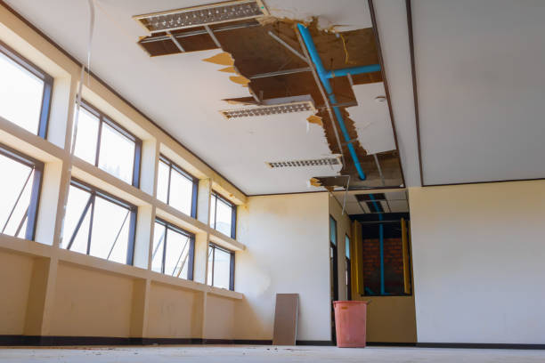 Best Flood damage cleanup  in Fredericktown, OH