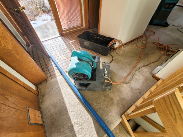 Best Local water damage restoration  in Fredericktown, OH