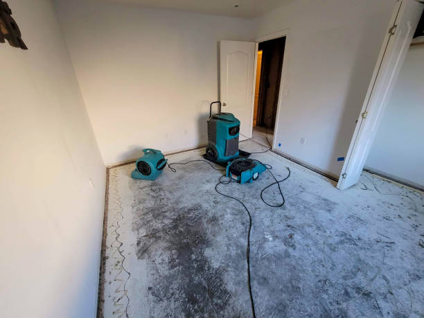 Best 24/7 water damage repair  in Fredericktown, OH