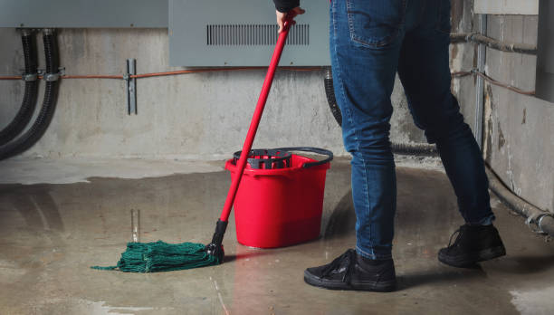 Best 24-hour water damage restoration  in Fredericktown, OH