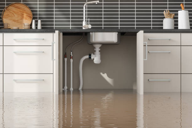 Best Flooded house restoration  in Fredericktown, OH